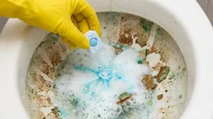 Die Toilette wird innerhalb einer Stunde von Urinstein befreit: eine schnelle Methode mit Spülmaschinentabs