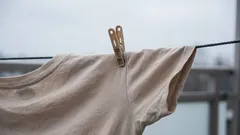 Keine Bügelspuren mehr auf der Kleidung: 4 einfache Regeln zum Wäschetrocknen