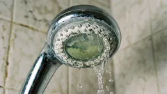 Wie man eine Duschbrause von Bakterien befreit: eine einfache Methode mit einer Plastiktüte und einem Hausmittel