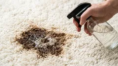 Flecken und Streifen verschwinden spurlos vom Teppich: eine einfache Methode ohne chemische Reinigung