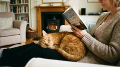 Diese vier Typen von Menschen werden von Katzen als ihre eigenen anerkannt. Die übrigen sind lediglich Dienstpersonal.