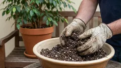 Warum ich die alte Erde nicht aus den Töpfen entferne