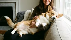 Warum Ihr Hund keine Umarmungen mag und wie Sie das sofort erkennen können